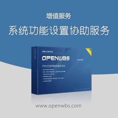 系統(tǒng)后臺功能設(shè)置協(xié)助服務(wù)