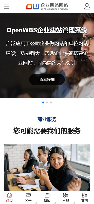 高端大氣企業網站模板